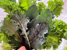 Load image into Gallery viewer, CSA SIGN UP: 2025 Salad CSA Season!