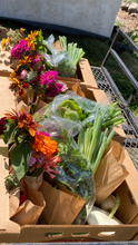 Load image into Gallery viewer, CSA FarmStand Funds