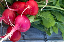 Load image into Gallery viewer, CSA FarmStand Funds