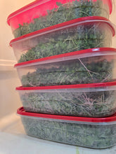 Load image into Gallery viewer, Stacked clear plastic containers with red lids, filled with fresh microgreens for CSA members that pay one time container deposit.
