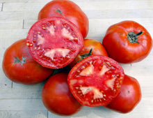 Load image into Gallery viewer, Tomato Starts
