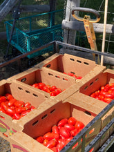 Load image into Gallery viewer, CSA FarmStand Funds
