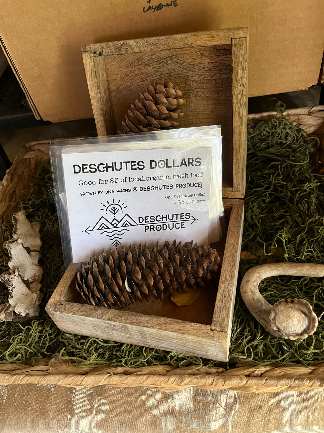 Deschutes Dollars