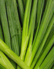 Load image into Gallery viewer, CSA FarmStand Funds
