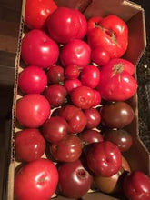 Load image into Gallery viewer, CSA FarmStand Funds
